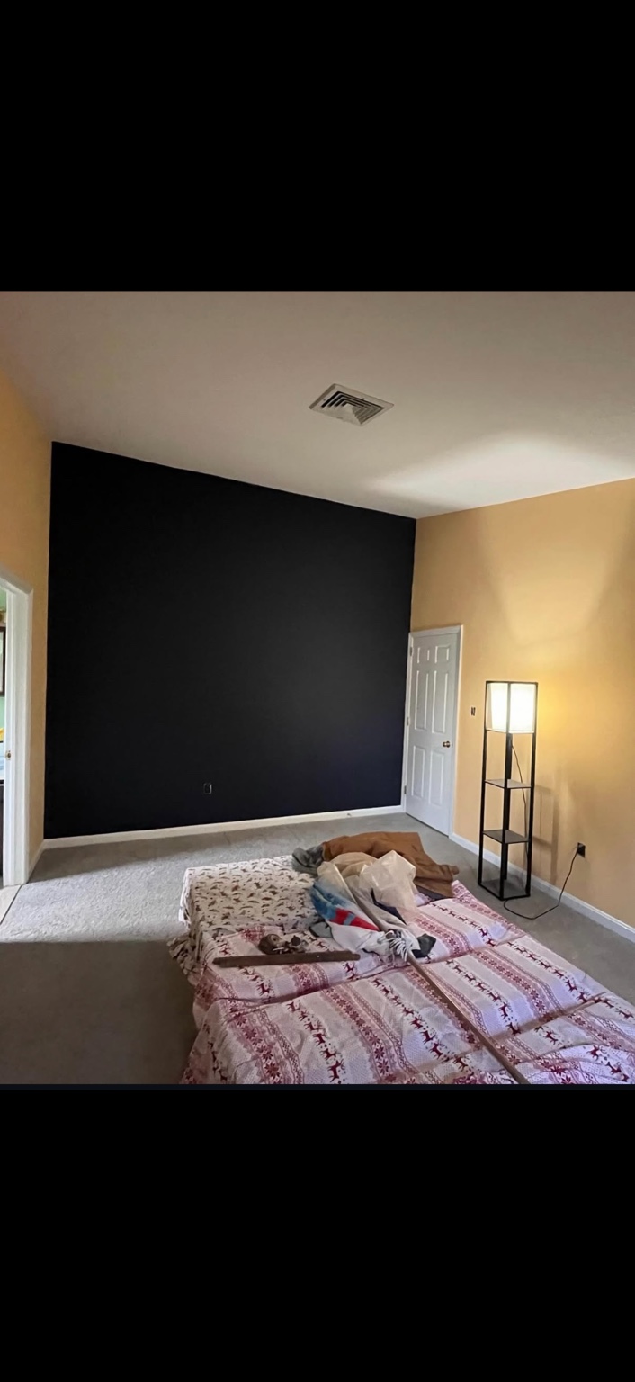 Finished black interior accent wall